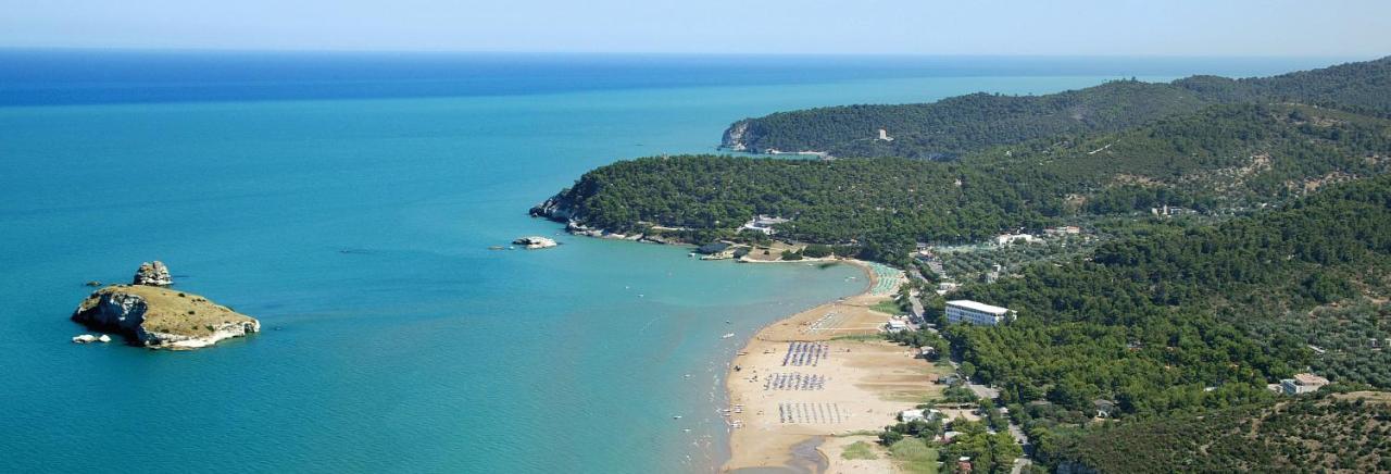 Hotel Gargano Vieste Bagian luar foto